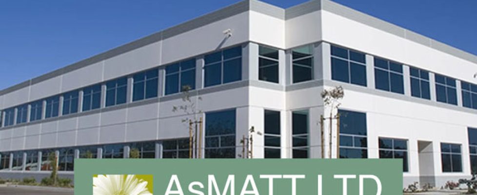 AsMatt-Ltd_Thurrock-Hammers
