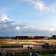 Bugs,-bikes-and-a-return-to-the-track.The-Hammers-campaign-gathers-pace